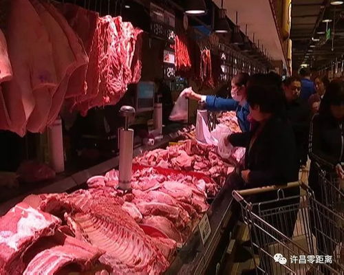 許昌市為禽畜產品配備“身份證”，開啟食用農產品追溯新時代