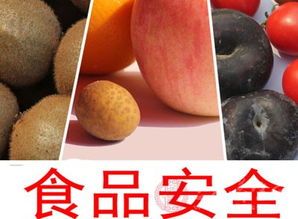 濰坊奎文區(qū)開展流通環(huán)節(jié)進口食品與食用農(nóng)產(chǎn)品批發(fā)專項檢查，筑牢食品安全防線