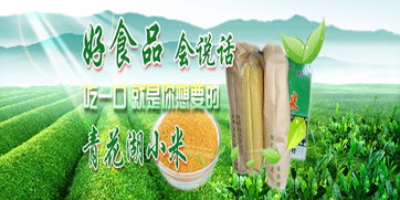 中國農產品批發網 食用農產品批發的數字化新篇章